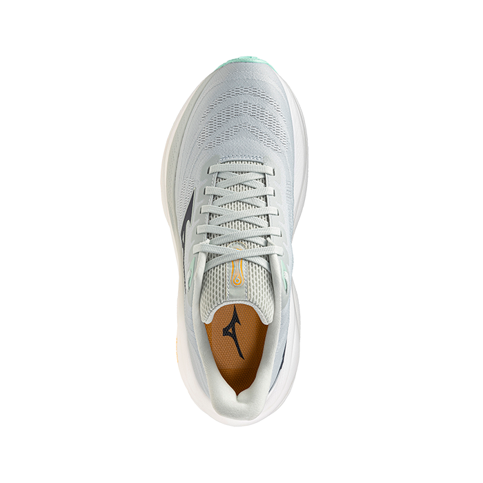 (여) 미즈노 웨이브 스카이 9 SW J1GD251223